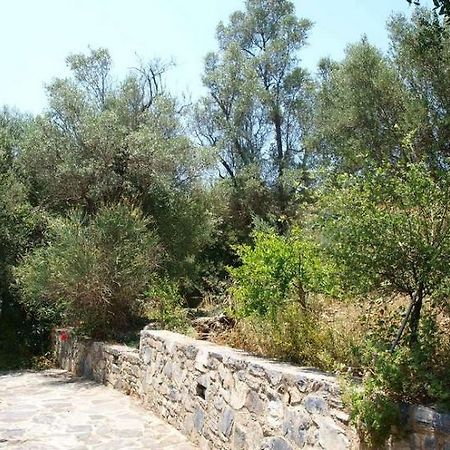 Aposperitis Villas Theodhóra 외부 사진