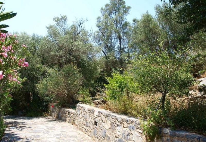 Aposperitis Villas Theodhóra 외부 사진